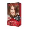 Revlon - ColorSilk Beautiful Color Coloration 1 ct Braun