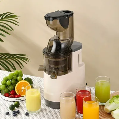 Houselin 7 inch Cold Press Juicer, Masticating Juicers Machine for Vegetables and Fruits