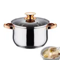 Pot for Cooking Nonstick Cooking Pot with Lid Multipurpose Pots Stainless Steel Stock Pot Thick &