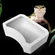 Reptile Food Bowl Feeding Dish Drinking Basin Tray Fit for Lizard for Turtle Gecko Hermit Crab Gecko