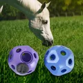 Equine Hay Feeder Funny 15.7" Toy Hay Ball for Horse Stable Stall Trailer Paddock Rest Play Training