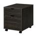 Latitude Run® 15.35" Wide 2 - Drawer Mobile File Cabinet in Dark Oak | Wayfair 32DCA31E293F436BA09447DB1A13C862