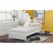 Winston Porter Gatsby Solid Wood Platform Storage Bed Wood in Brown/White | 41.4 H x 42 W x 79.5 D in | Wayfair A87D025E2934442C99B112D008EE4425