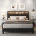 Wrought Studio™ Queen Bed Frame w/ Storage Headboard & Charging Station & Led Lights Upholstered in Gray | 46.5 H x 62.2 W x 86.6 D in | Wayfair