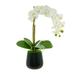 Primrue Polysilk Orchid Arrangement in Vase Polysilk, Glass in Black | 23 H x 15 W x 10 D in | Wayfair 90BEE0B04B2C4D979D8197FF1C814C38