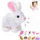 ZTMHRG Interactive Rabbit Toy Suit, Pet Plush Rabbit Toy with Sound, Can Run, Wiggling Ears, Rabbit Hopping Game, Easter Basket Filler,D