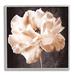 Stupell Industries Az-419-Framed Vintage Rose Print Canvas in Black | 24 H x 24 W x 1.5 D in | Wayfair az-419_gff_24x24