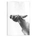 Stupell Industries Az-231-Framed Donkey Bathroom Splash Print Wood in Brown/Gray | 15 H x 10 W x 0.5 D in | Wayfair az-231_wd_10x15