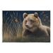 Stupell Industries Az-015-Framed Bear & Butterfly Scene by James Corwin Canvas in Brown | 13 H x 19 W x 0.5 D in | Wayfair az-015_wd_13x19