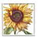 Stupell Industries Bb-105-Framed Modern Country Sunflower Framed On Wood Print Wood in Brown/Green/Yellow | 12 H x 12 W x 1.5 D in | Wayfair