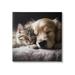 Ebern Designs Cat & Dog Photography On Canvas by Roozbeh Print Canvas in Brown/Gray | 17 H x 17 W x 1.5 D in | Wayfair