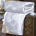 Real Luxury Silk Quilts Twin Queen King Full Size Spring Autumn Conditioning Quilt Blanket Comforter