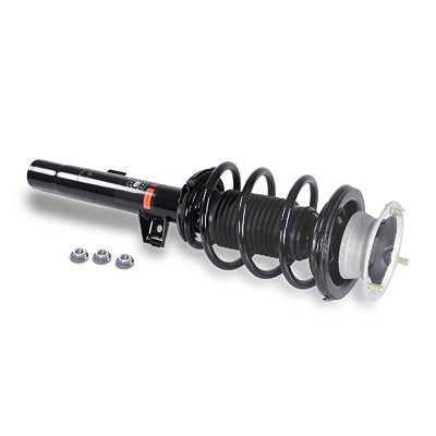 Gh Federbein [Hersteller-Nr. GH-351549C01] für BMW Image