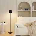 Aluminum Dimming Floor Lamp Rechargeable Standing Lamp Indoor Bedroom Living Room Atmosphere Desk Lamp Type-C