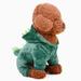 Autumn And Winter Pet Clothes Coral Fleece Warm Dinosaur Dog Shaped Clothing