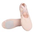 1 Pair Girls Ballet Shoes Full Stretch Fabric Dance Shoes Soft Breathable Wear Resistant Lightweight Toddler Dance Slippers Shoes-42 Pink