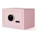 UBesGoo Home Security Safe 0.5 Cubic Feet Small Digital Electronic Security Safes Money Box for Home Office Hotel Pink