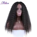 Blice-Perruque Synthétique Longue Yaki Lisse pour Femme Extensions de Cheveux Document Mixte avec