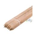 Suinga - Pali tutori di legno da 200 cm, diametro 3 cm (Pack 20), palo di legno quadrato con punta,