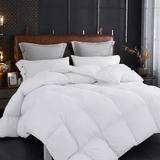 Queen Size Soft Warm Duvet Comforter Set White Solid