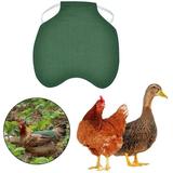 Single Strap Chicken Apron/Saddle Vest Hen Duck Wing Protection Standard Chicken Jackets Hen Aprons Poultry Care Accessories 5pcs-green