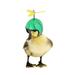 Creative New Pet Supplies Funny Protection Chicken Helmet Hen Hard Hat Bird Headgear 2 Pcs Safety for Toy Clothing Child Plastic