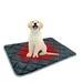 BCY Self Warming Cat Bed Self Heating Cat Dog Mat Extra Warm Thermal Pet Pad for Indoor Outdoor Pets with Non-Slip Bottom