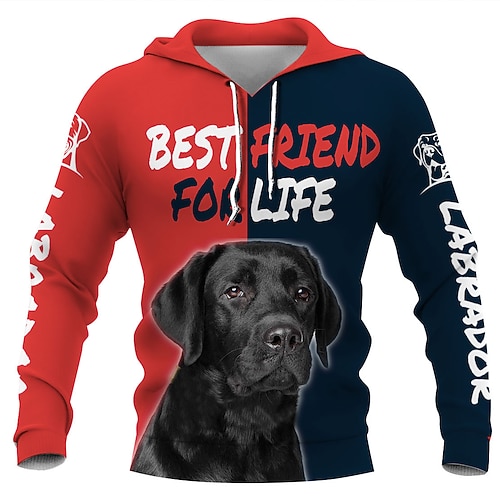 Kapuzensweatshirt Cartoon Manga Anime 3D Mode Lässig Bischofsärmel Grafik für Paar Herren Damen Erwachsene 3D-Druck für Image