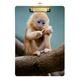 ALAZA Cute Little Monkey Baby Animal Clipboards for Kids Student Women Men Letter Size Plastic Low Profile Clip 9 x 12.5 in Silver Clip