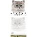 Cat Magnetic List Pads Uniquely Shaped Sticky Notepad Measures 8.5 By 3.5 Inches