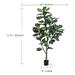 Single Trunk Fiddle Leaf Fig Silk Tree (5 Foot)