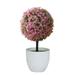 Ttybhh Spoon A Desktop Ornament Clearance! Artificial Ball Shaped Tree Fake Fresh Green Grass Flower in White Plastic Pot for Home Office Tabletop Decor Centerpiece E