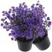 Fake Planta Home Decor 2 Pcs The Office Bedrooms Realistic Faux Potted Plants Simulated Flower Small Bonsai Ornaments Desktop Green Decoration 2pcs (bell Grass (lotus Color)) Purple Plastic