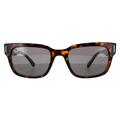 Square Havana On Transparent Brown Dark Grey Plastic Sunglasses Jeffrey RB2190