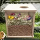 Acrylic Hamster Cage Front Opening Rest Hamster Wooden Cage Hamster House Hut for Gerbil Pet Other