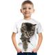 Kinder Jungen T-Shirt T-Shirt Kurzarm Katze Dinosaurier Grafik 3D-Druck Tier Schule Kinder Tops aktive weiße Katze hellweiße weiße Katze