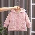 Toddler Girls' Hoodie Jacket Solid Color Active Zipper School Coat Outerwear 3-7 Years Winter White Pink