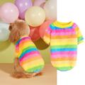 Autumn And Winter Plush Warm Pet Clothes Soft And Comfortable Round Neck Striped Rainbow Color Pullover Two Legged Dog Plush Jacket