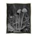 Stupell Industries Bb-072-Floater Forest Mushroom Photography Framed On Canvas by Lil' Rue Print Canvas in Gray | 21 H x 17 W x 1.7 D in | Wayfair