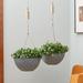 17 Stories Nova 2-Piece Hanging Planter Set Plastic/Stone in Gray | 6.3" H x 13.2" W x 13.2" D | Wayfair 8C5BD717B82D4DB9B8565BADDFAD52FF