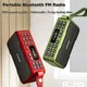 Radio portatile FM Mini Radio Bluetooth altoparlante Hifi Sound Soundbar Subwoofer vivavoce Walkman