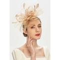 fascinators casque plumes dentelle tea party kentucky derby melbourne cup cocktail royal astcot mariage avec appliques tulle casque chapeaux