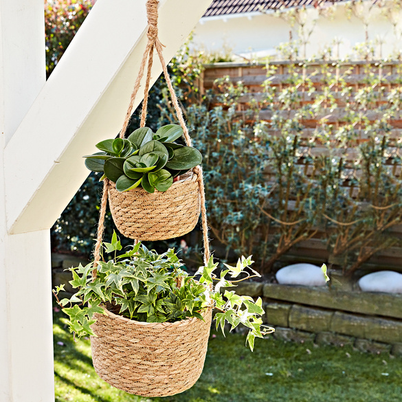 Blumenampel 2-in-1 Image