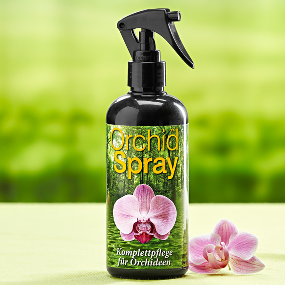 Orchideen-Spray Image
