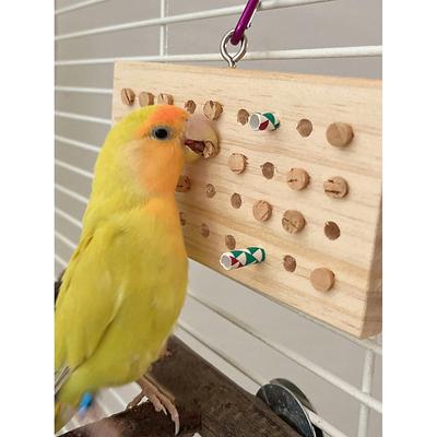 Interactive Toy with Durable Pet Exercise Teething Toy for Birds Indoor Pet Play