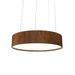 Accord Lighting Cilíndrico 1 - Light Unique Drum LED Chandelier Wood in Brown/Gray/White | 7.09 H x 19.69 W x 19.69 D in | Wayfair 231LED.06