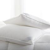 Scandia Home Bergen Medium Down-Free Sleep Support Pillow 100% Cotton in White | 20 H x 36 W x 6 D in | Wayfair P471 K WHITE