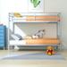 Metal Twin over Twin Bunk Bed with Removable Ladder