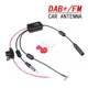 Adaptateur de câble répartiteur d'antenne stéréo DAB + FM + pour voiture amplificateur de signal