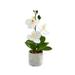 Rainbow Artificial Orchid Flowers Potted Flowers Artificial Flowers Artificial Phalaenopsis Artificial White